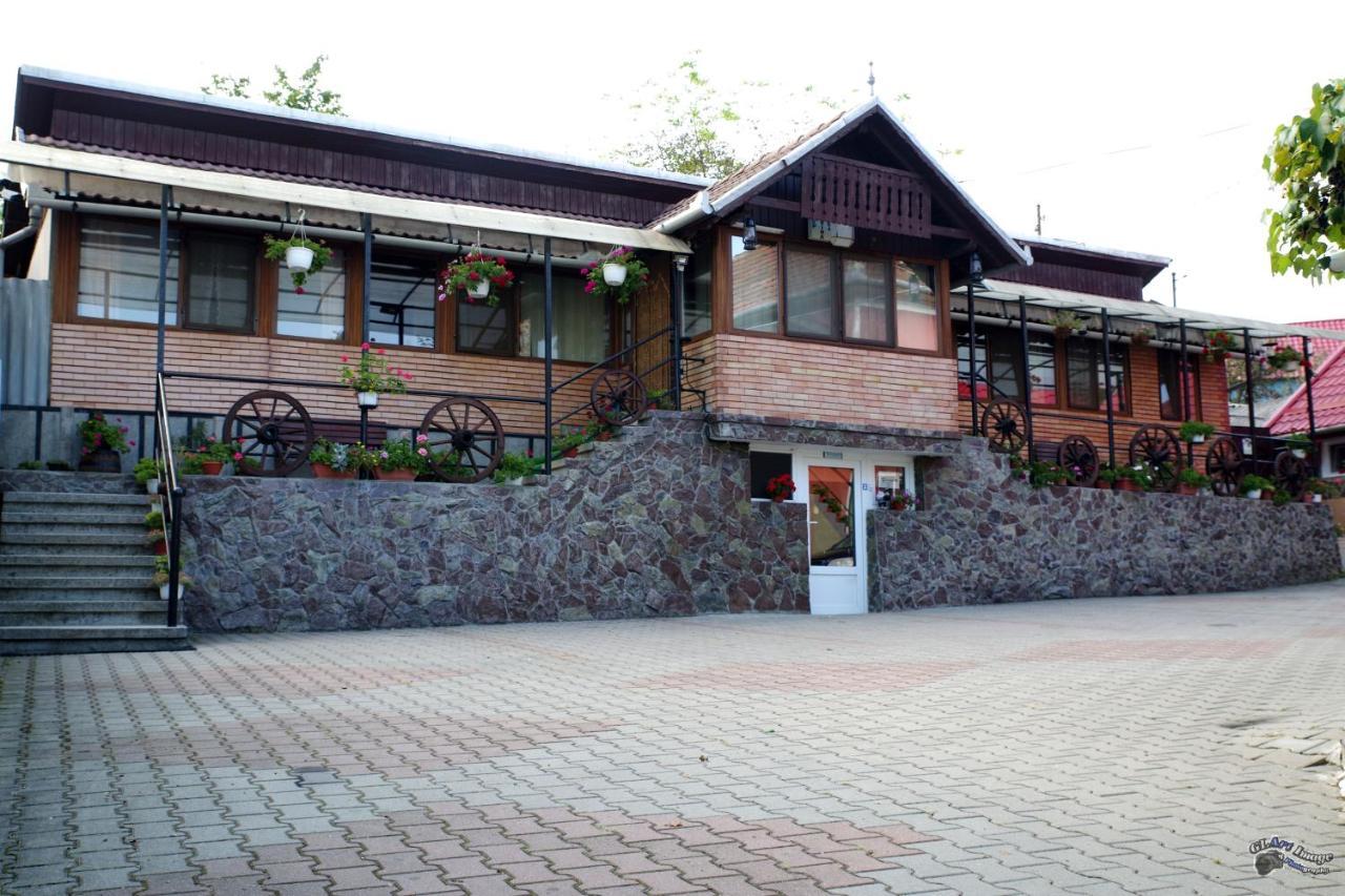 Pensiunea Irina Brad  Exterior foto